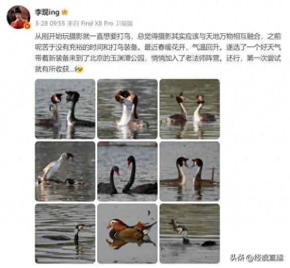 李现的“打鸟”照火了！ 业内人士点评