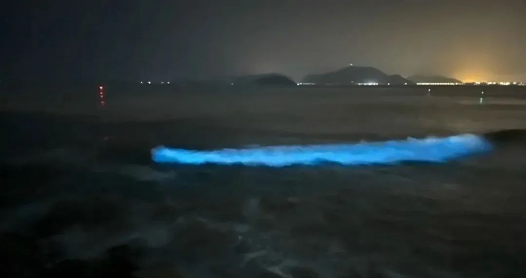 茂名一海域惊现“荧光海”,网友直呼:太梦幻 茂名一海域惊现“荧光海”,网友直呼:太梦幻