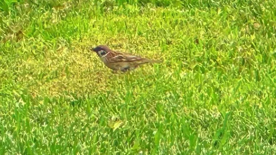 @李现,请来北京科学中心“打鸟”! @李现,请来北京科学中心“打鸟”!
