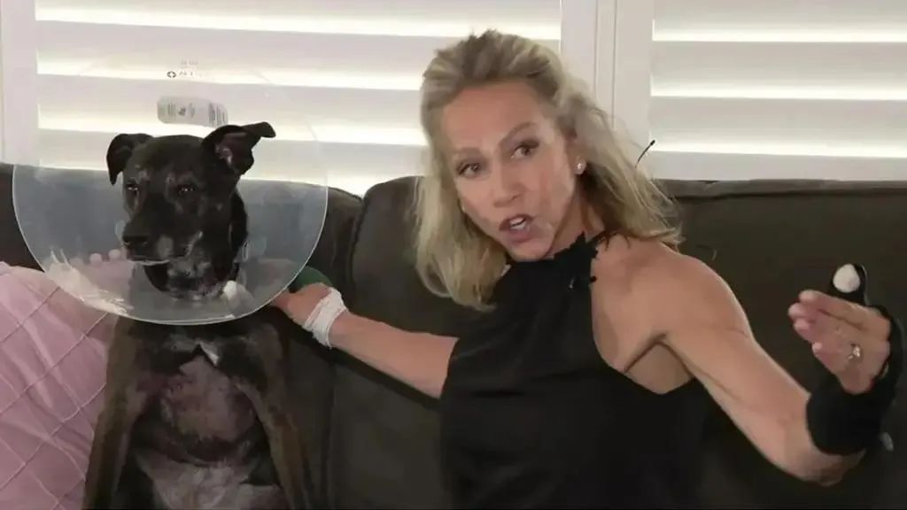 爱犬被2米长鳄鱼咬住，女子跳鳄鱼身上硬掰开鳄鱼嘴把狗救了