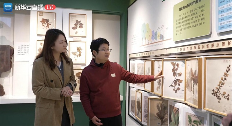 高校博物馆:大学里的“大学” 高校博物馆:大学里的“大学”