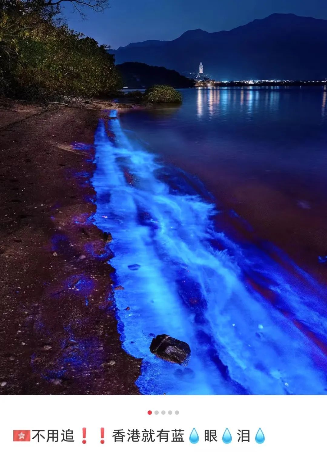茂名一海域惊现“荧光海”,网友直呼:太梦幻 茂名一海域惊现“荧光海”,网友直呼:太梦幻