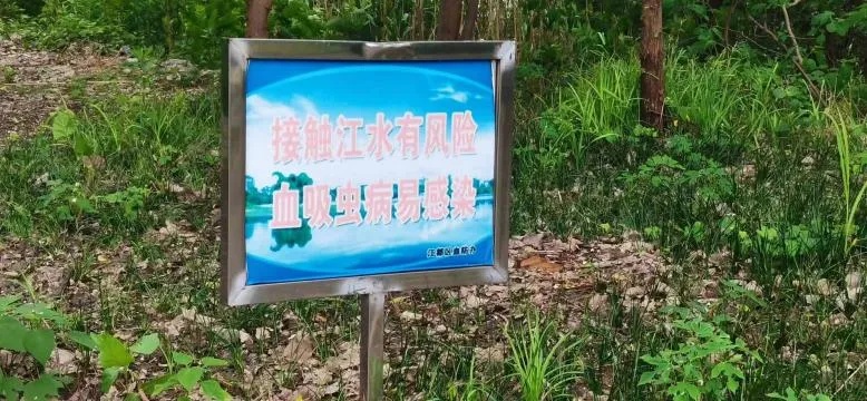 只需10秒,就能钻进皮肤!一旦发现,赶紧躲开! 只需10秒,就能钻进皮肤!一旦发现,赶紧躲开!