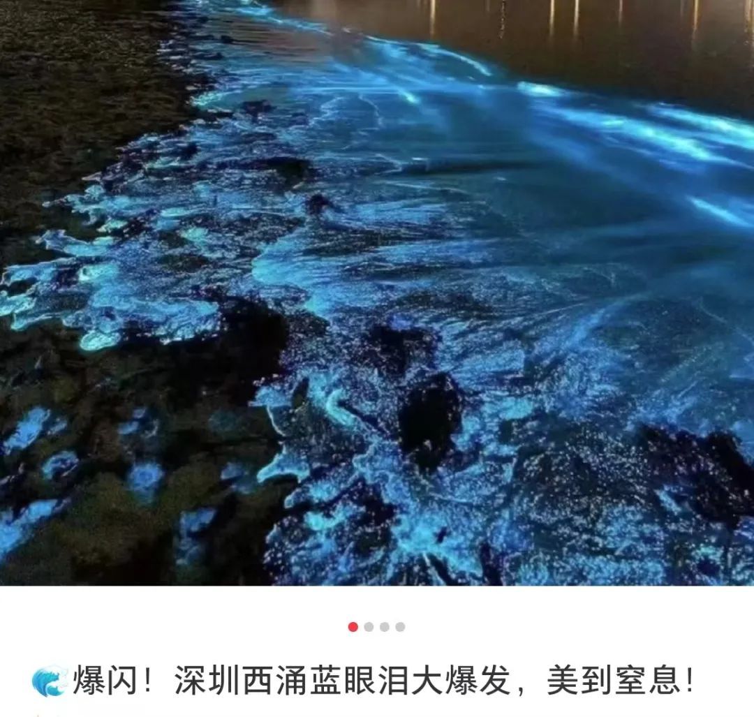 茂名一海域惊现“荧光海”,网友直呼:太梦幻 茂名一海域惊现“荧光海”,网友直呼:太梦幻