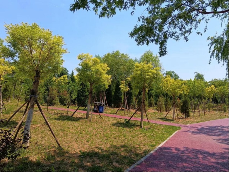 李现带来“观鸟热”,北京的生态含金量还在上升! 李现带来“观鸟热”,北京的生态含金量还在上升!