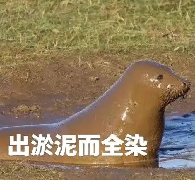 为张美照，两女孩各“失去”一条腿......