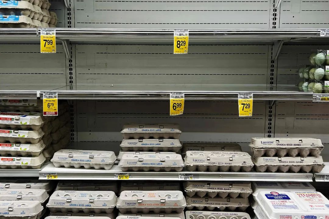 一边贸易战一边求鸡蛋！多国回复美国：不给！