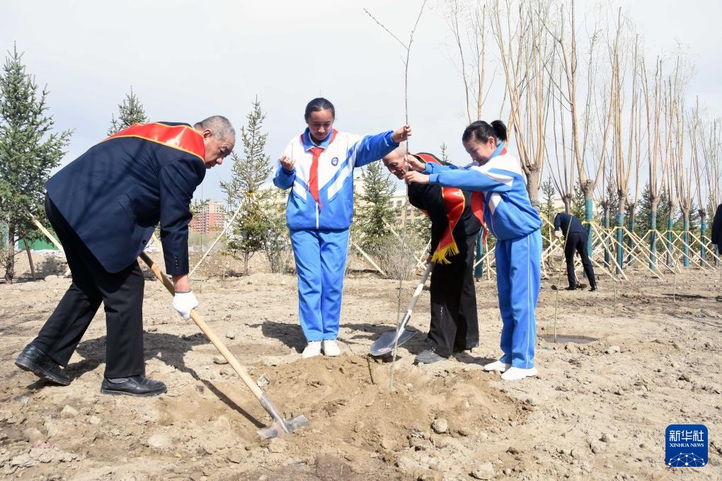 新疆哈密：春日共植“左公柳”