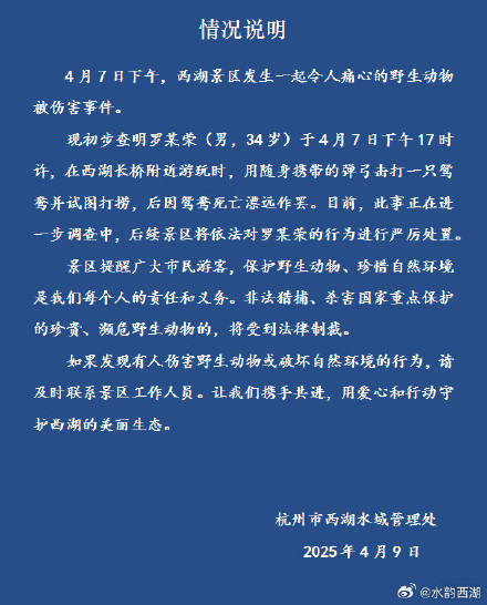 官方通报游客弹弓射杀西湖鸳鸯：已初步查明，将依法严厉处置