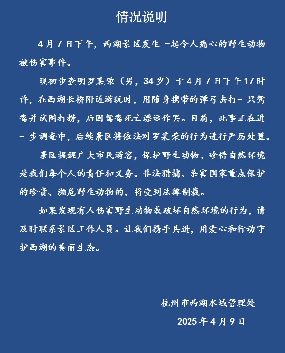 西湖里的鸳鸯被人用弹弓打死！官方通报