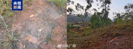 云南发现一恐龙新属种 云南发现一恐龙新属种