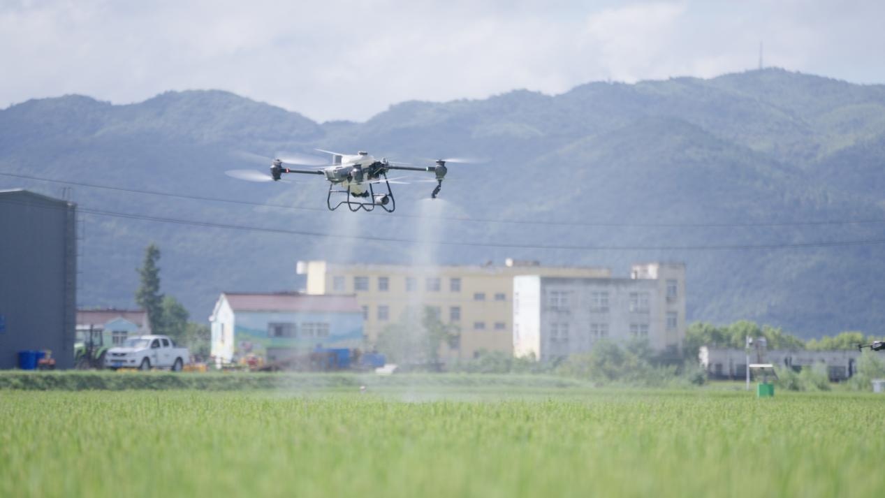 “智慧春耕”赋能田野 湖南农业现代化图景一线扫描 “智慧春耕”赋能田野 湖南农业现代化图景一线扫描