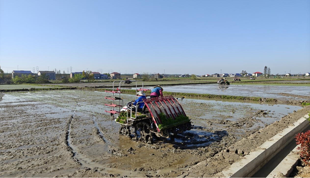 “智慧春耕”赋能田野 湖南农业现代化图景一线扫描 “智慧春耕”赋能田野 湖南农业现代化图景一线扫描