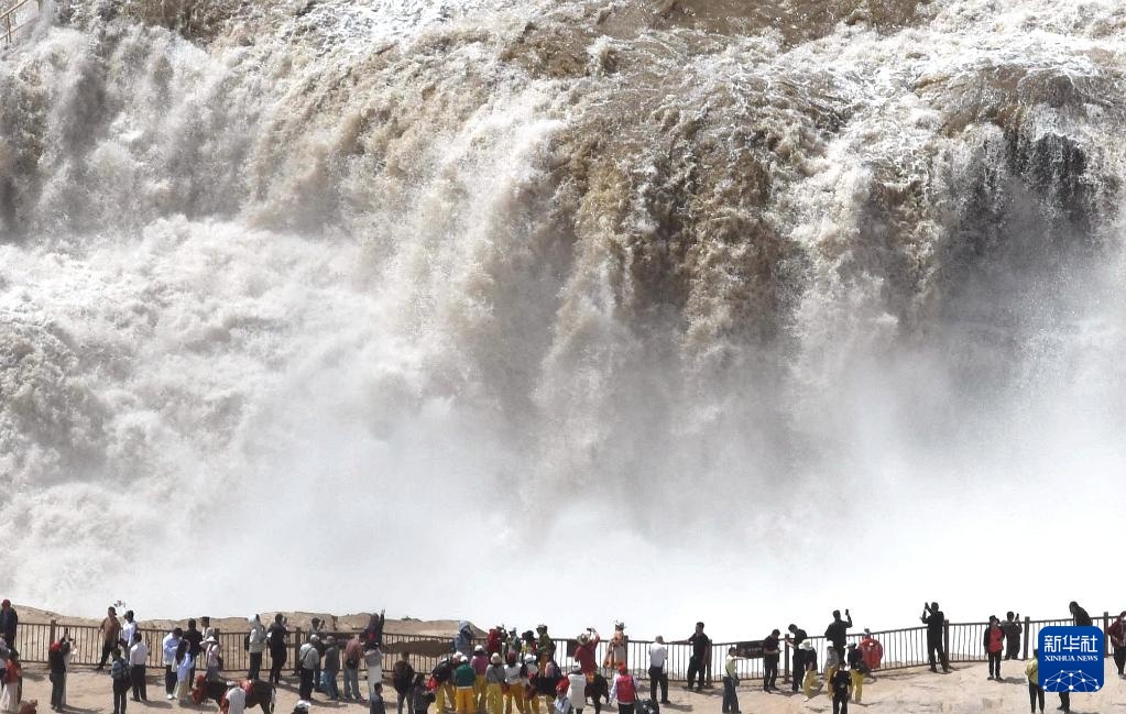 黄河壶口瀑布迎来壮美“桃花汛” 黄河壶口瀑布迎来壮美“桃花汛”