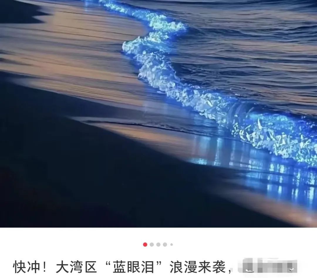 茂名一海域惊现“荧光海”,网友直呼:太梦幻 茂名一海域惊现“荧光海”,网友直呼:太梦幻