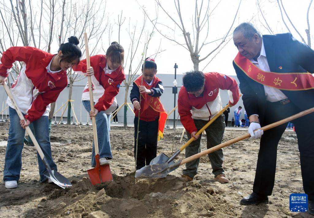 新疆哈密：春日共植“左公柳”
