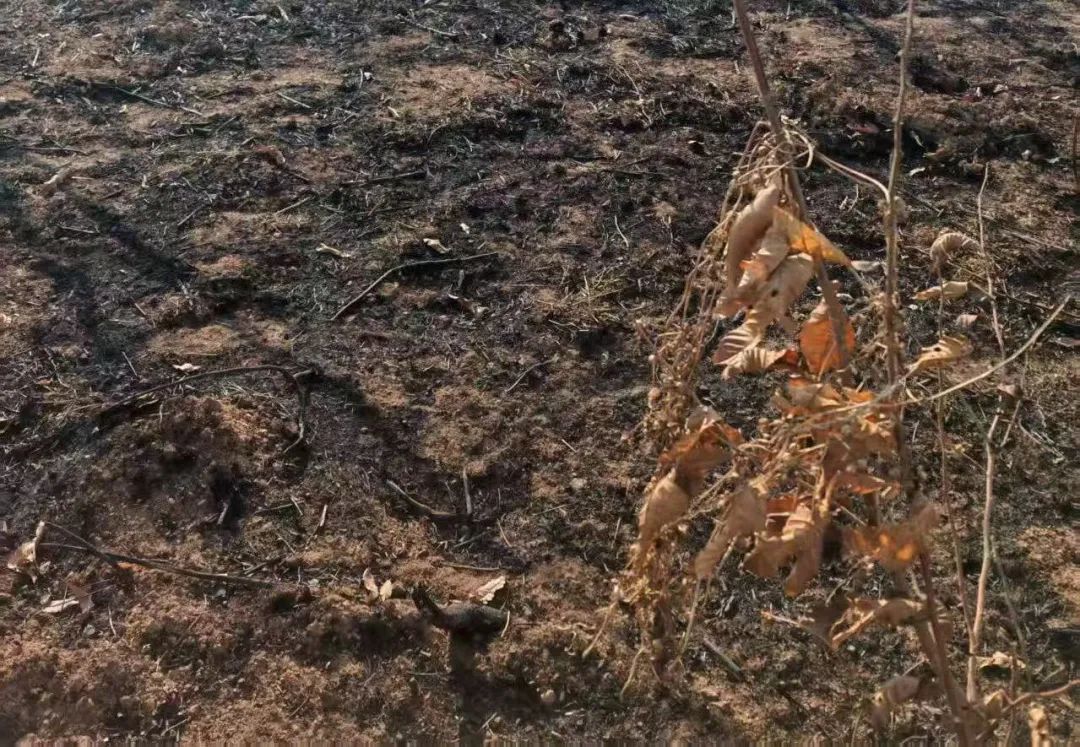 12人被抓！千万要注意！