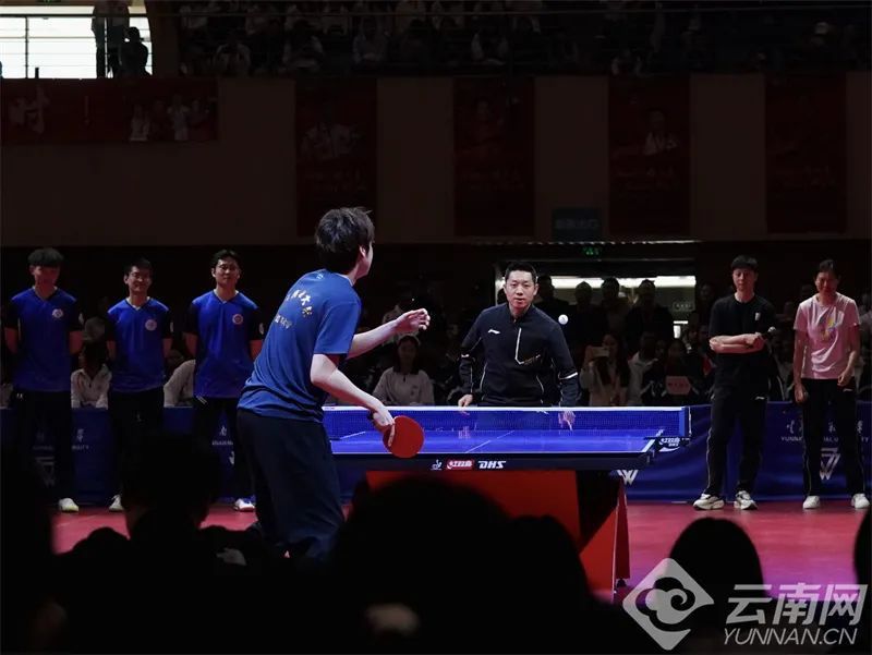 马龙、许昕、刘诗雯、李晓霞……国球奥运冠军来云南啦！