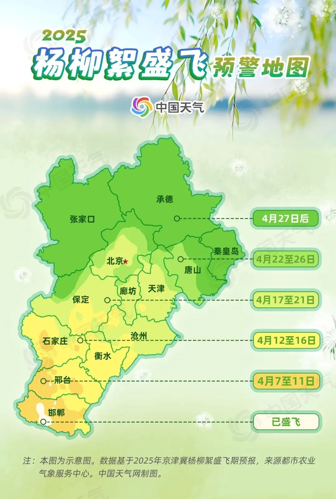 又到飞絮季！六字口诀全方位防护