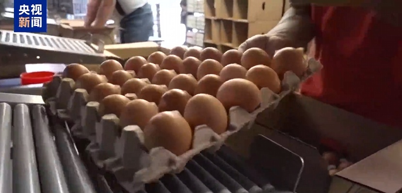一边贸易战一边求鸡蛋，多国回复美国：不给！