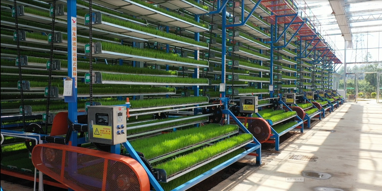 “智慧春耕”赋能田野 湖南农业现代化图景一线扫描 “智慧春耕”赋能田野 湖南农业现代化图景一线扫描