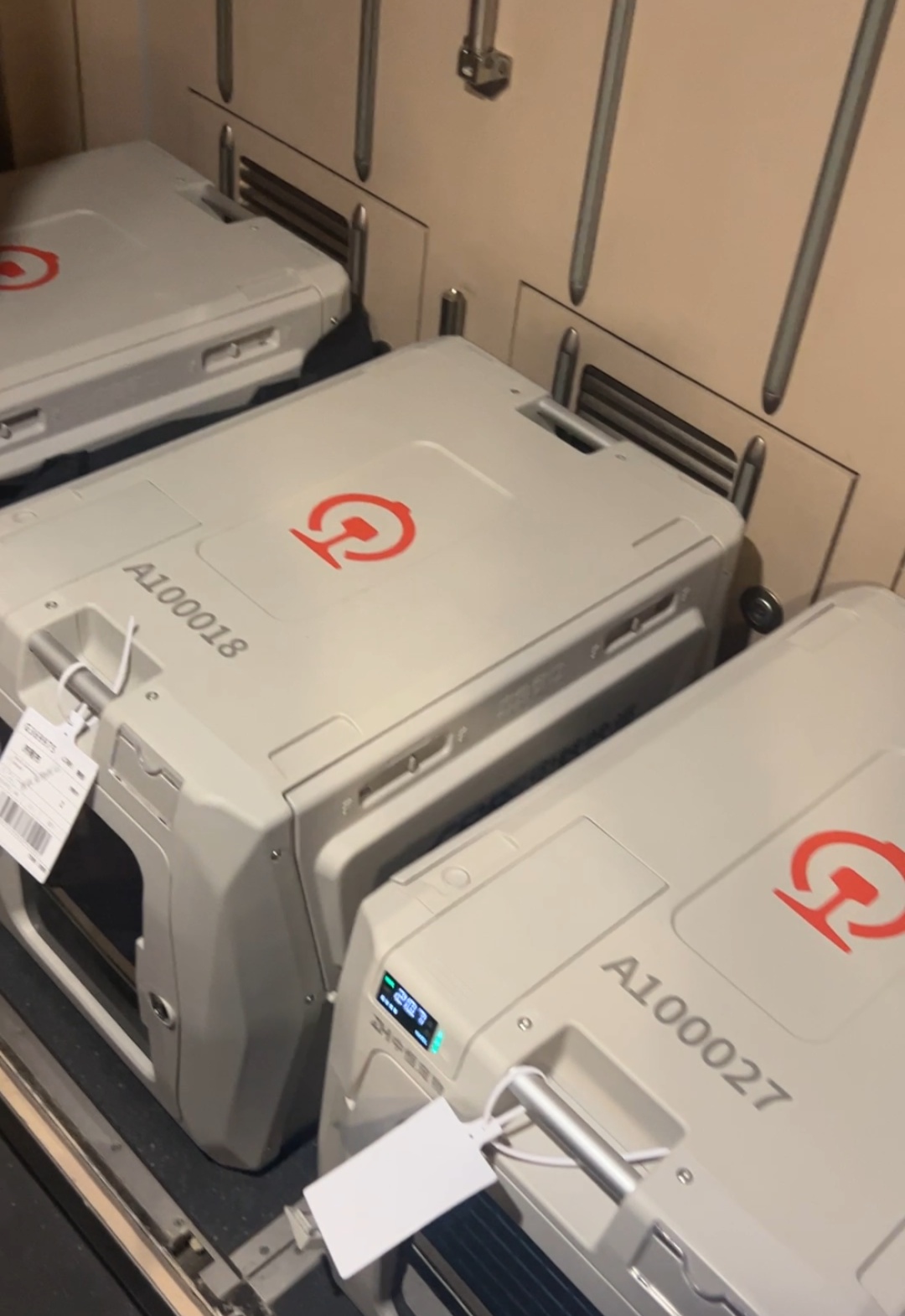 全国首批“毛孩子”坐上高铁，运输箱长这样——