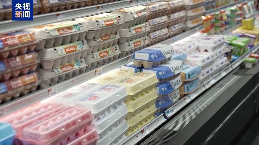 美国加关税还想要鸡蛋？多国回复：不给！