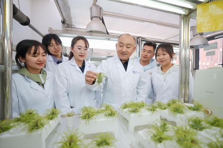 我国科学家研究证明植物叶片可吸收积累大气微塑料