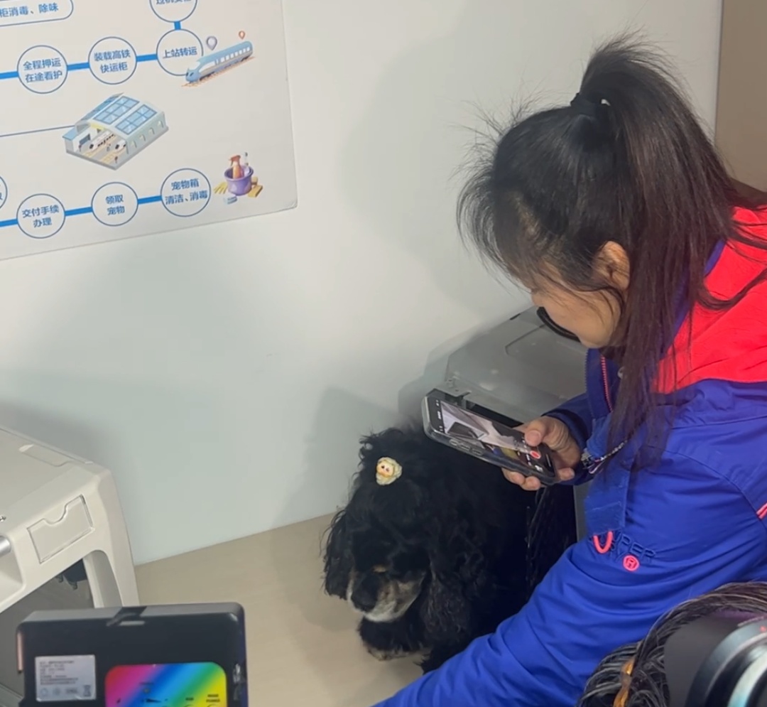 全国首批“毛孩子”坐上高铁，运输箱长这样——