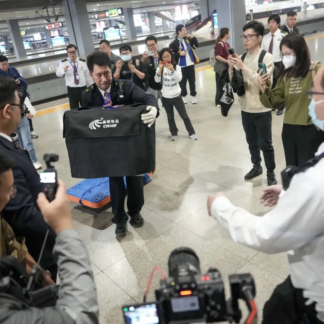 第一批毛孩子已上高铁！提前2小时办托运，中间不能探视