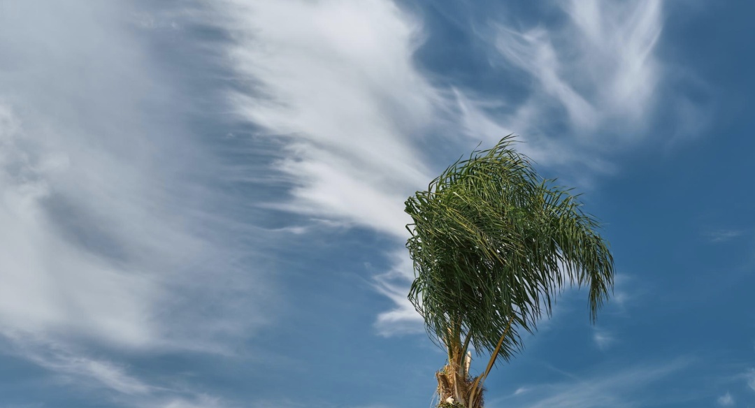 局地达13级!华北为何将现历史罕见大风?威力多大? 局地达13级!华北为何将现历史罕见大风?威力多大?