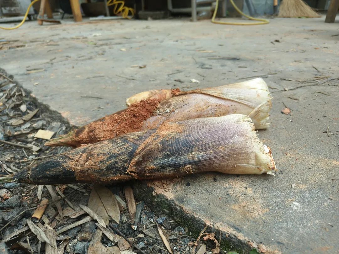 长沙00后小伙放弃城区合租房，每月1000元租农村院落：不影响上班，一口气签十年