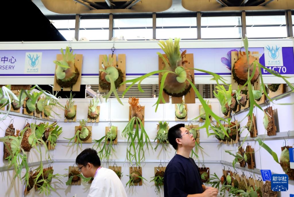 第27届中国国际花卉园艺展览会在上海开幕 第27届中国国际花卉园艺展览会在上海开幕