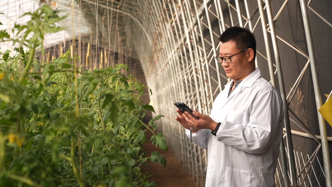 北京密云：温室“智慧网”种出好“钱”景