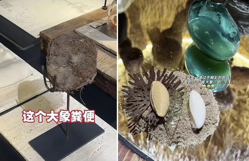 大象粪便做甜品、3888元一位还得预约！这家餐厅火了……