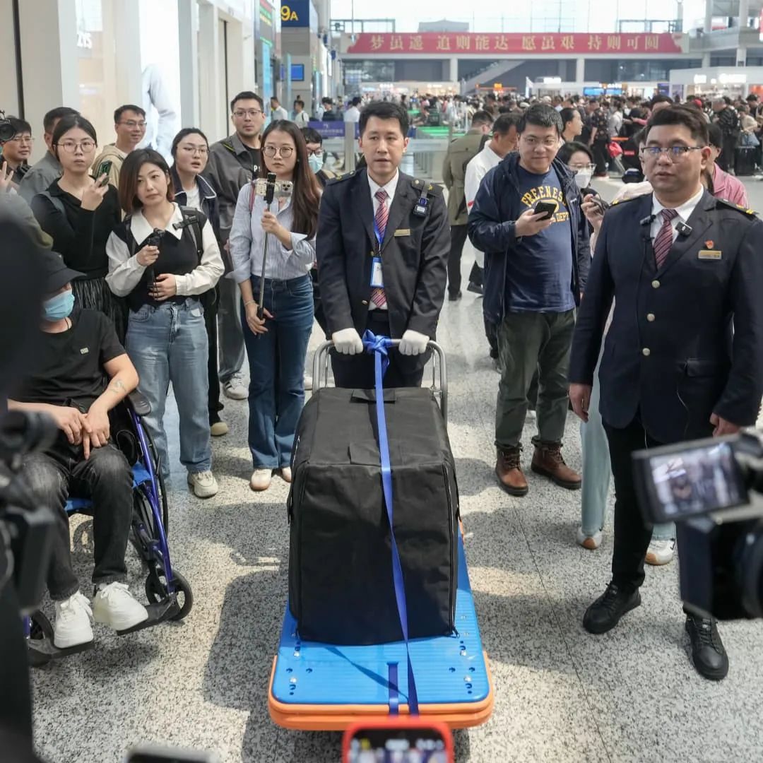第一批毛孩子已上高铁！提前2小时办托运，中间不能探视