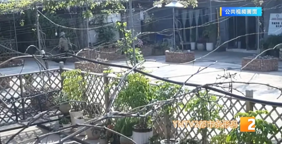 12瓶洋酒不翼而飞，民警调查：有人在“蚂蚁搬家”！