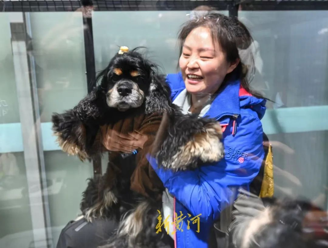 3只“毛孩子”坐高铁到济南西站 全国首趟高铁宠物托运列车来了