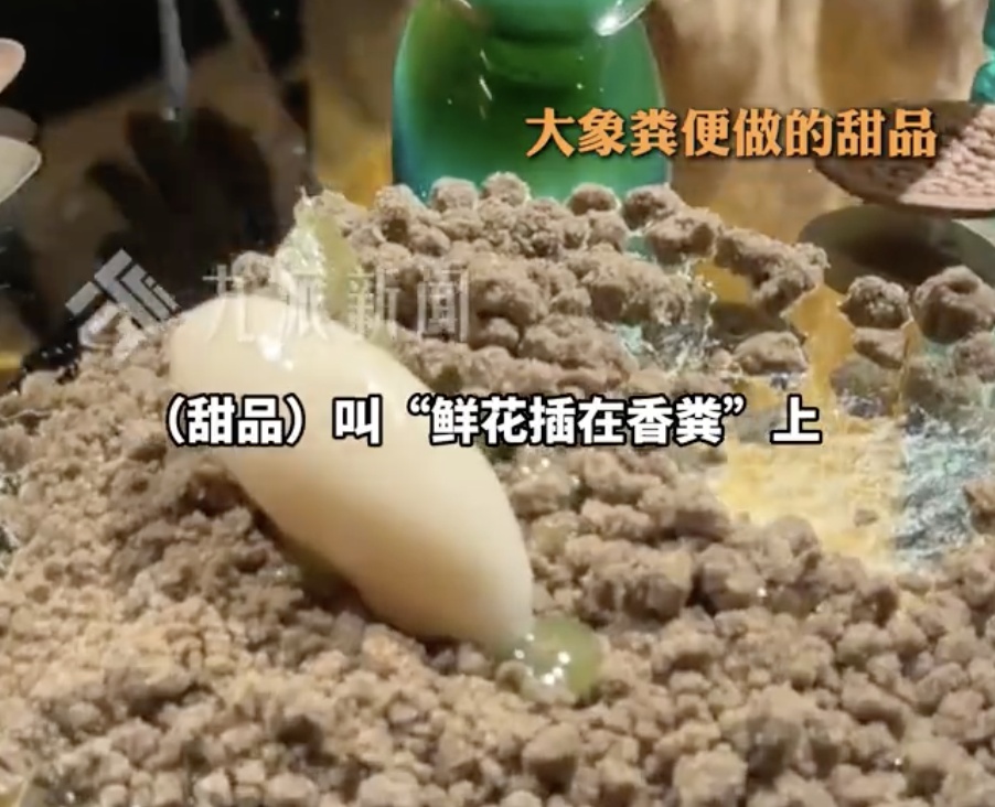 上海一人均4千餐厅让食客啃树叶、品尝大象粪便！员工：创始人研究了7年