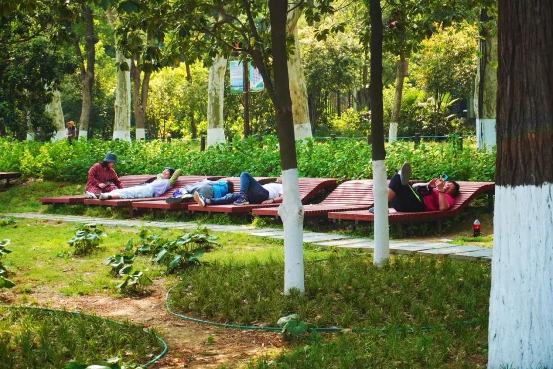 最近很多人来东湖躺着，网友：躺到不想走