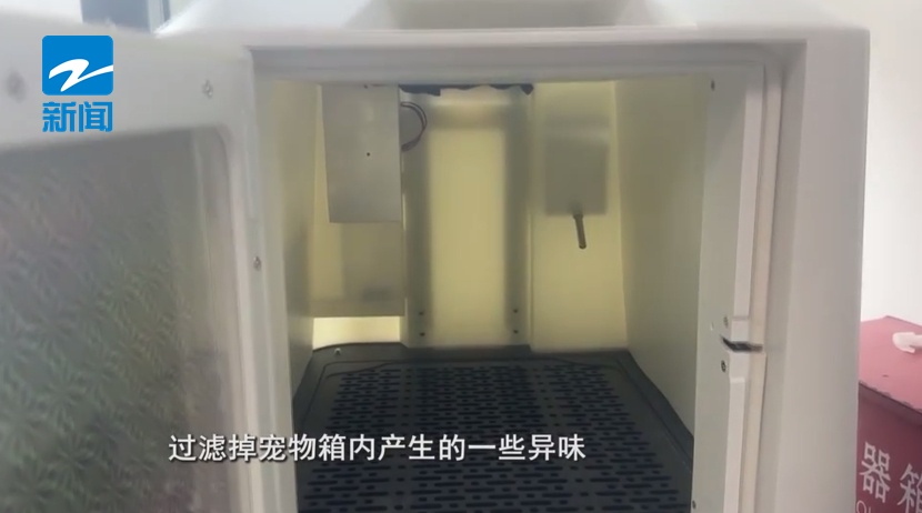 杭州东站首批！“毛孩子”也能坐高铁了