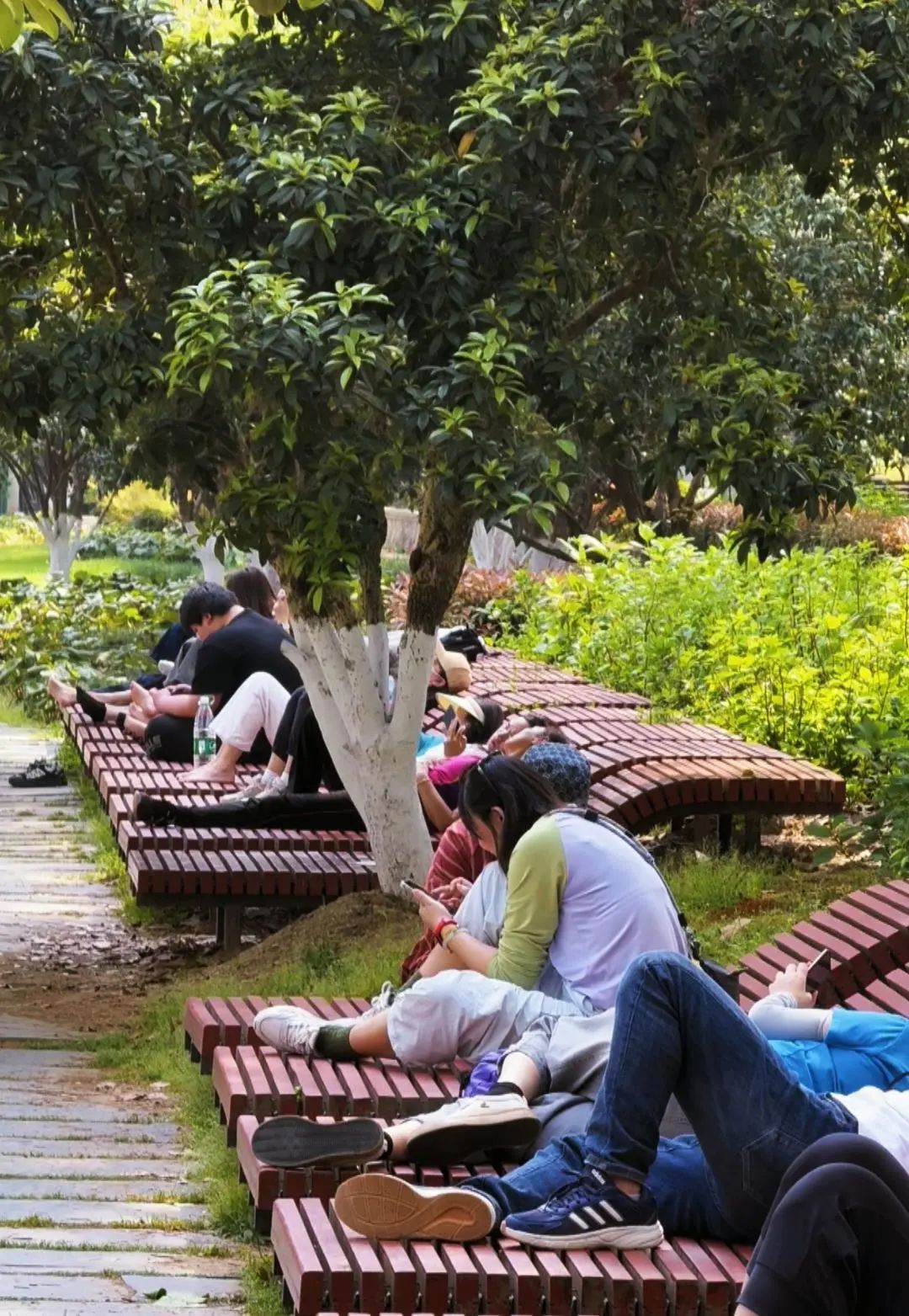 最近很多人来东湖躺着，网友：躺到不想走