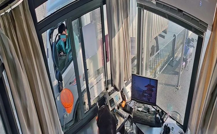 “一车五牌”套取代金券！3名职业薅羊毛党落网