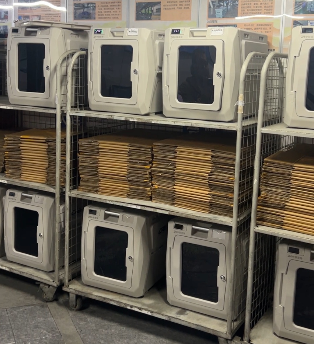 全国首批“毛孩子”坐上高铁，运输箱长这样——