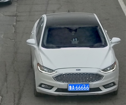 “定制鲁A66666”可真敢挂啊! “定制鲁A66666”可真敢挂啊!