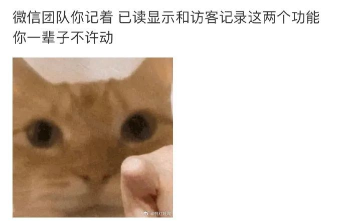微信将上新“已读显示”及“访客记录”功能？最新回应→