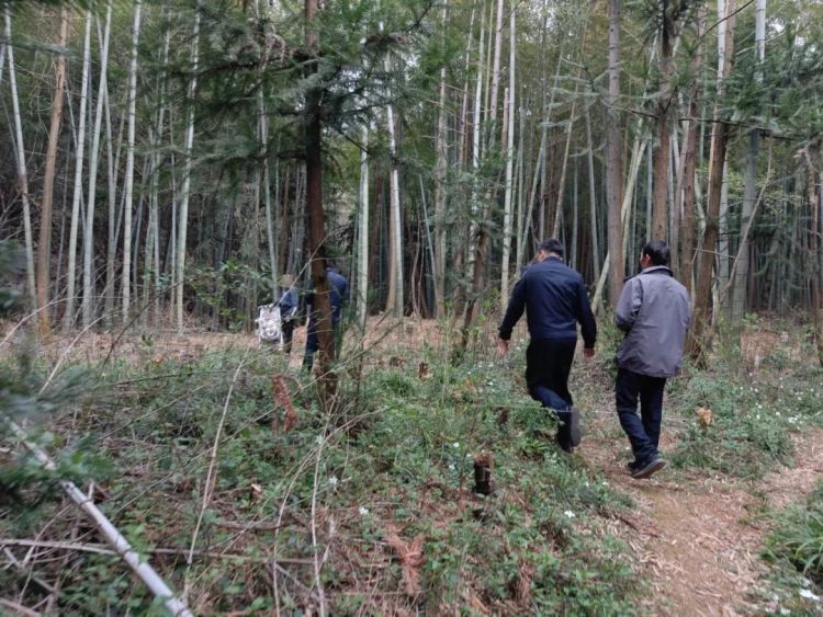 爷爷带着六个月大的孙女出走，监控发现两人消失在通往山林的路口……