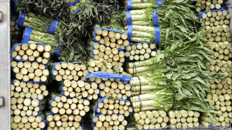 首趟“江西小炒”蔬菜配送车从景德镇乐平市发往浙江 首趟“江西小炒”蔬菜配送车从景德镇乐平市发往浙江