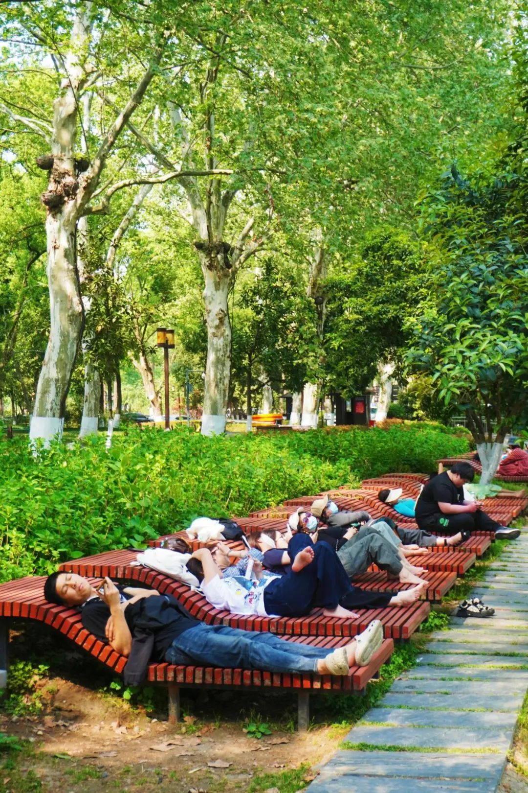 最近很多人来东湖躺着，网友：躺到不想走