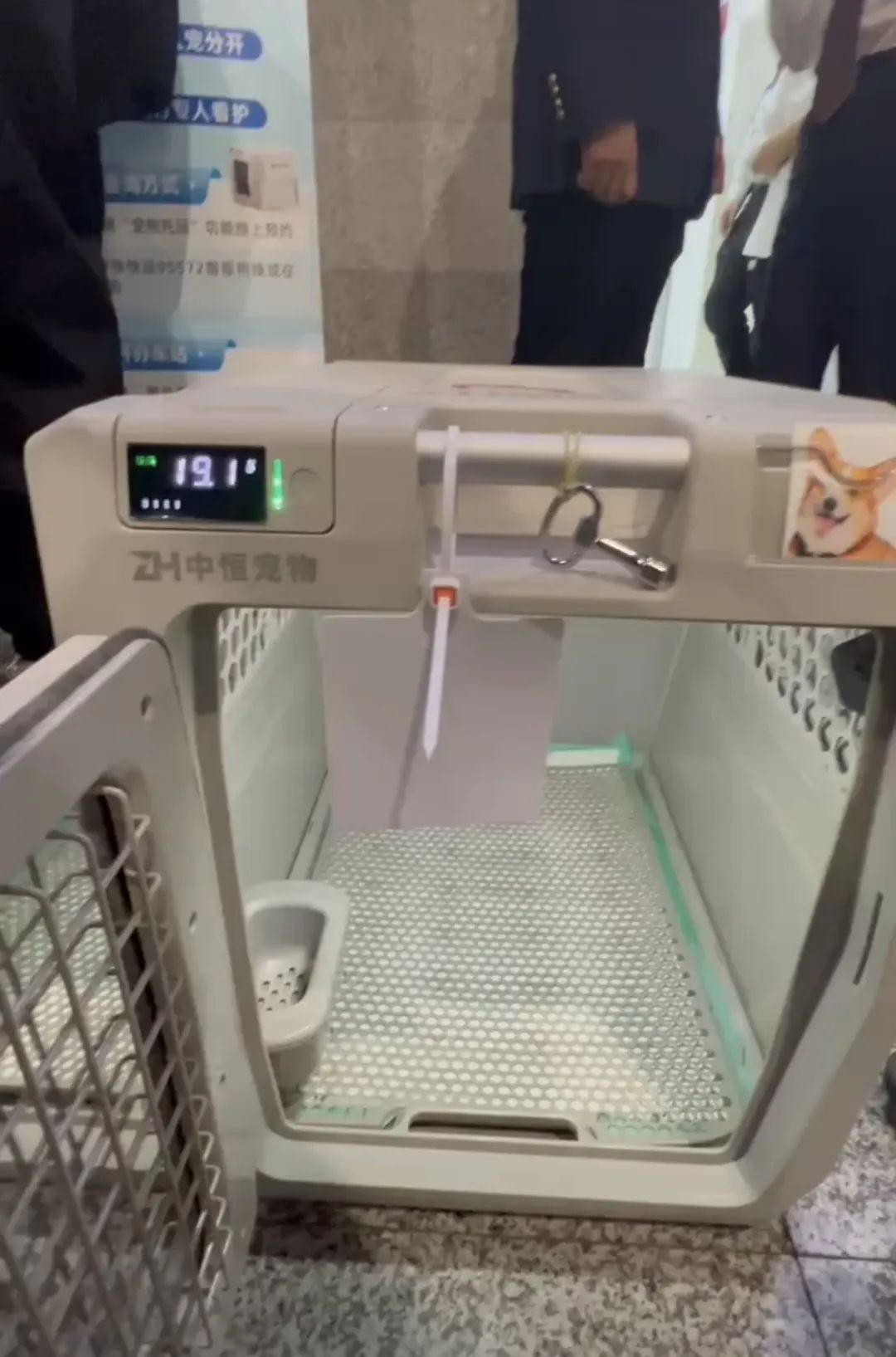 第一批毛孩子已上高铁！提前2小时办托运，中间不能探视